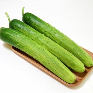 [익산원예농협] 신선 백다다기오이 2kg
