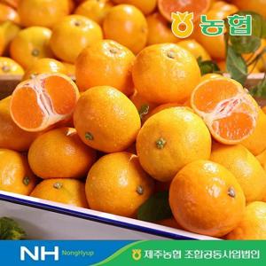 [제주농협]25년 햇수확 제주 하우스감귤 3.5kg