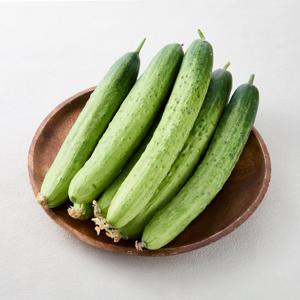 [신선하랑] 아삭한 국내산 백다다기 백오이 10kg 특 (50개입 내외)