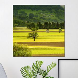 [아트빌리지]행운 가득 벽장식 인테리어 풍경화 그림액자(70x70cm)