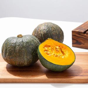 [더조은] 제주 미니 밤호박 (못난이 랜덤과) 2kg