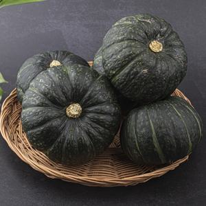 늘바른 국산 친환경 무농약 미니단호박 3입 960g 이상