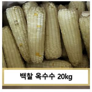 백찰옥수수 20kg