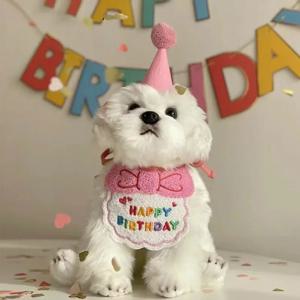 사랑스러운 개 고양이 강아지 생일 모자 & 두건 세트 고양이 개 액세서리 애완 동물 생일 용품