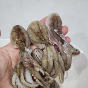 [푸디앤] 선동 급냉 쭈꾸미 200g+200g /베트남산 먹기좋은 알맞은 사이즈 인기상품!