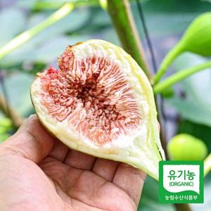 유기농 새벽수확 무화과 1.1kg / 550g x 2팩