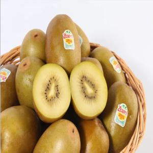 제스프리 썬골드 키위 10~12개입 1.2kg 내외