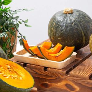 [더조은] 제주 미니 밤호박 (소과 120-270g) 2kg