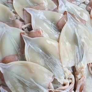 [푸디앤] 원양산 손질오징어 4미 800g / 통손질 완전손질 링채 한치 등 국내산 가공