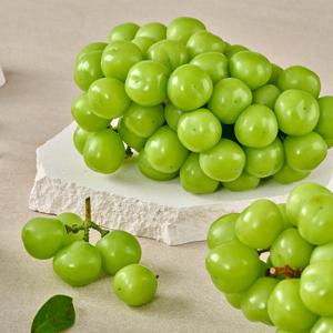 고당도 망고포도 노지샤인머스켓 2kg(4수) 외 하우스샤인머스켓 / 에어포장