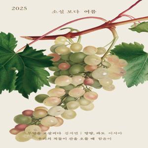 소설 보다 - 여름 2025