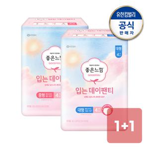 입는데이팬티 중형/대형 생리대 4매x1+1팩