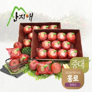 씻어나온 햇사과 홍로 2.7kg 2box (중대과)