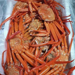 구룡포 자숙 연지홍게 가성비(홍게라면/홍게탕) 2KG/6KG 택1