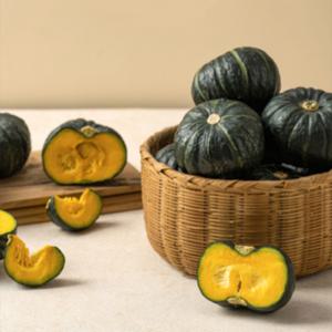 제주 미니단호박 밤호박 보우짱 2kg 혼합과 (개당 120-600g)