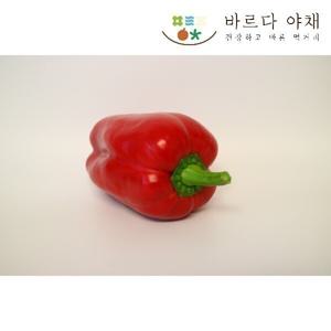 비타민듬뿍 빨강파프리카 1kg 바르다야채