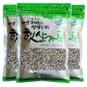 (신선집중) 2025년산 햇곡 국산 검정보리쌀 500g x 3개 흑보리