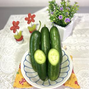 해들애 수분가득 아삭한 식감 스낵미니오이 등산용 캠핑용 수분섭취 1kg/2kg/500g (1kg기준) 휴대하기 편함