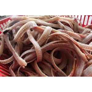 국산 민물 장어뼈 5kg/생물 장어머리를 급냉동하여 보내드립니다 뼈/양산도