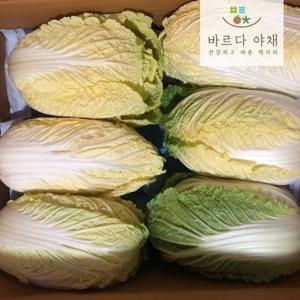 맛있는 쌈배추 알배기배추 바르다야채 6포기