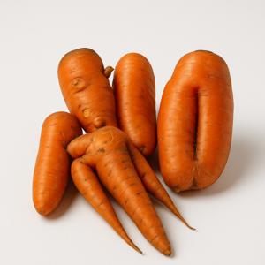 국내산 햇 당근 쥬스용 몬난이  흙당근 10kg