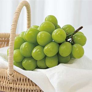 국내산 고당도 샤인머스켓 특품 1kg/2kg
