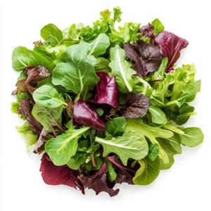 유가네농수산 유러피안 샐러드채소 1kg