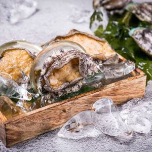 통영 참전복 中 500g