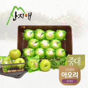[산지애] 씻어나온 초록사과 (아오리) 2.7kg x 1박스 (총 8~12과)