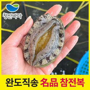 [청산바다] 완도 활전복 중복 14-15미 1.5kg (21-23마리)
