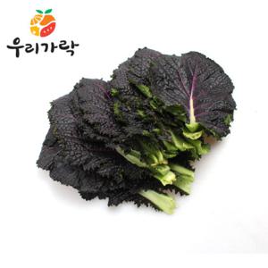 [우리가락]적겨자 500g