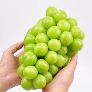 [푸르젠] 국내산 고당도 샤인머스켓 2kg (4수)