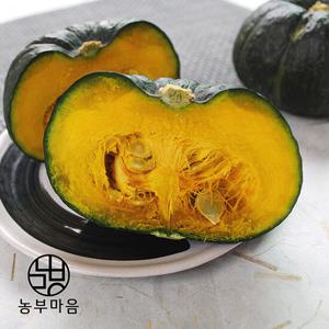 [농부마음] 제주 미니 밤호박 보우짱 로얄과 5kg 실중량
