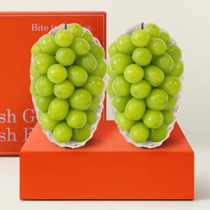 [후레쉬데이] 달콤한 샤인머스캣 선물세트 (1.2kg이상/2수)