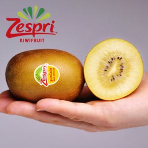 [웰굿] 뉴질랜드 제스프리 골드키위 2kg(17과내외,특대과)