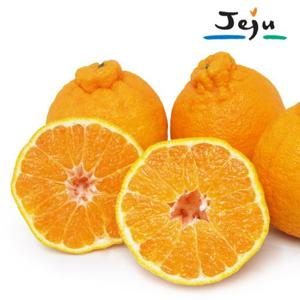 [올찬농산] 제주직송 한라봉 3kg / 11~13과