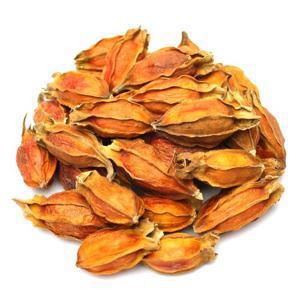 국산 치자(통) 250g 건조 치자열매 치자물