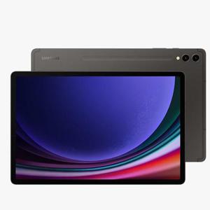 [전시]삼성 갤럭시탭 S9+ SM-X816N(256GB/12GB/WIFI+5G/12.4인치)