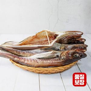 [품질보장] 강원도 완전손질 깔끔 코다리 10미 특대 45cm이상