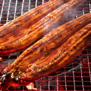 양념 민물장어 1kg 8마리 손질된 초벌구이