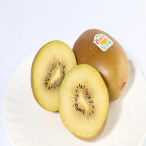 제스프리 썬골드 키위 특대과 10~12개입 (1.68kg 내외)