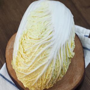 늘바른 국산 친환경 무농약 쌈배추600g 4봉