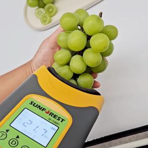 15brix 이상 고당도 샤인머스켓  (에어백포장) 1kg 선물용 외 랜덤과수
