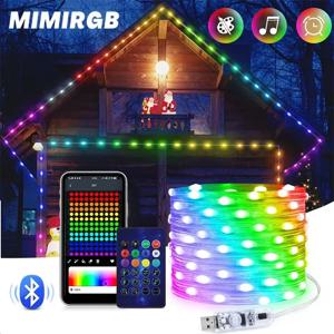 20M 드림 컬러 USB 5V LED 스팅 라이트 블루투스 음악 앱 RGBIC 주소 지정 가능 요정 조명 생일 파티 가랜드 크리스마스 장식
