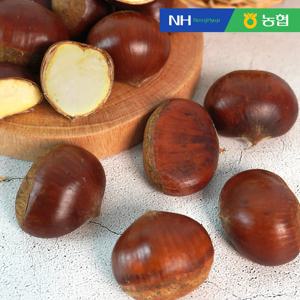 [농협] 순창 햇 알밤 특 1kg x 2팩