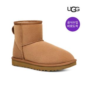 [25FW] 여성 클래식 미니 2 1016222-CHE