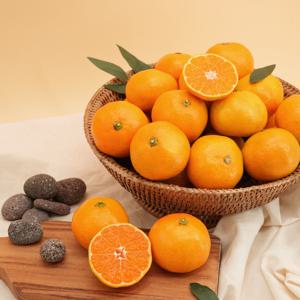 산지직송 새콤달콤 제주 감귤 3kg 4.5kg 9kg  옵션선택