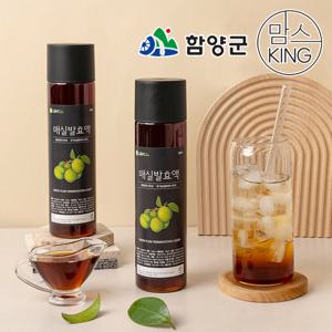 정가네식품 귀농이야기 매실청 500ml