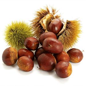 25년 부여 햇밤 중 대 특 사이즈 2kg 3kg 5kg