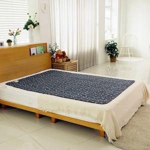 SHINIL 프리미엄 EMF인증 탄소열선 전기요 여우패턴 더블